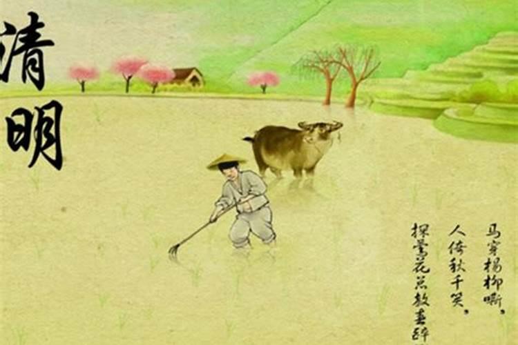 2025冬至日是几月几号