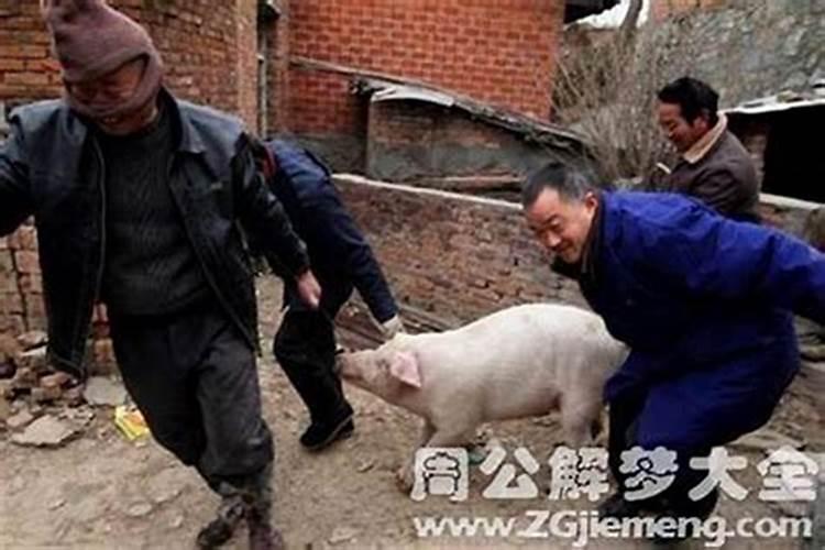 请问沈阳有什么地方有寺庙,拜佛,出家内种.