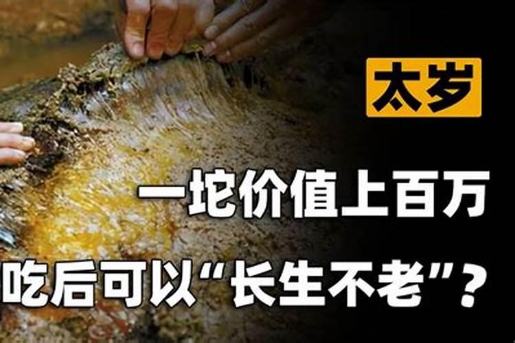 违背自然生态规律的太岁,究竟有多强大？
