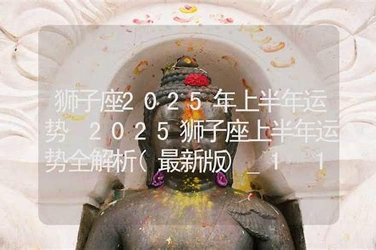 属兔养什么动物最旺财