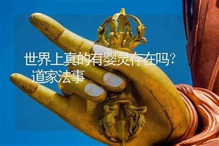 道教白龙来弟子什么体感