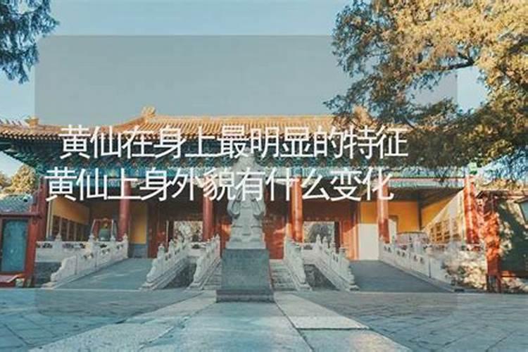 2021年犯太岁的5个生肖 值冲害刑克五种详解？