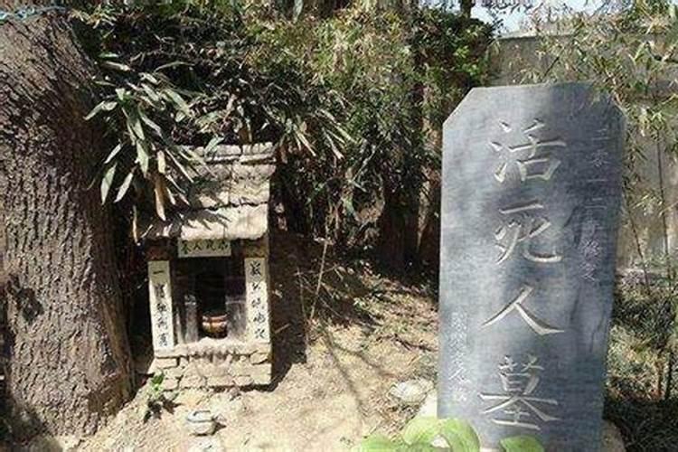2023年3月15日出生的小孩命运怎么样 农历二月二十四的宝宝八字起名字...