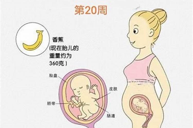 白露节气出生的人寓意好不好 白露的特点是什么？