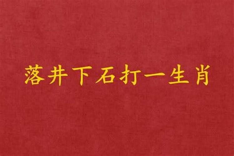 属蛇和属鼠的合不合