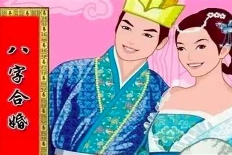 男丙寅年炉中火命与女己巳年大林木命合吗？