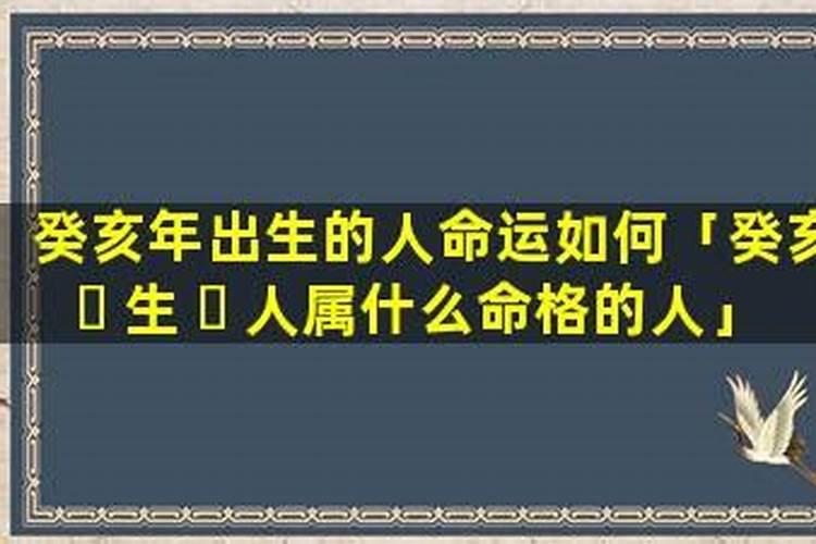 1983年属猪在2025蛇年的运气