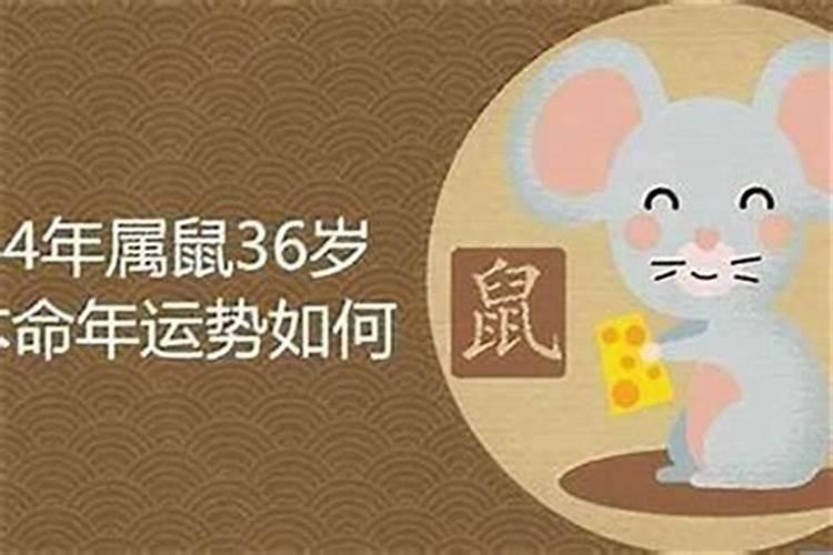 84年阴历4月初6生,今年本命年,运市如何呢,高人指点!!