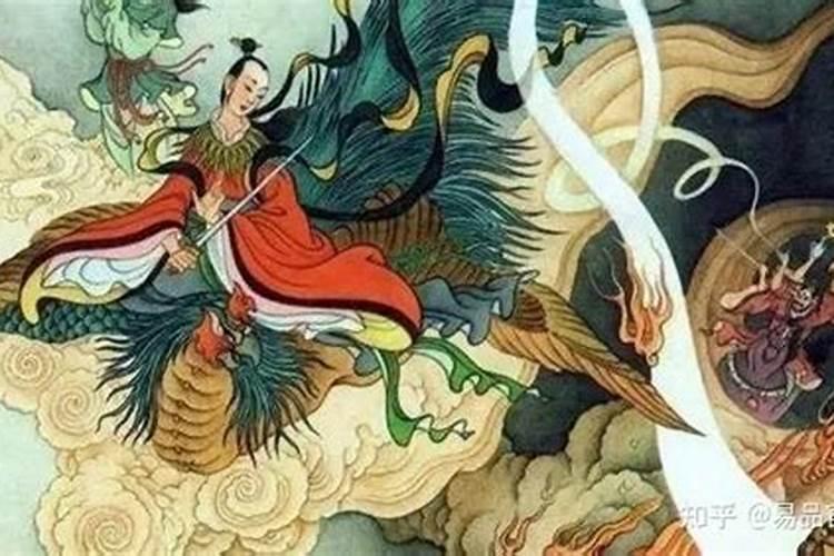 厂区周边种什么植物好