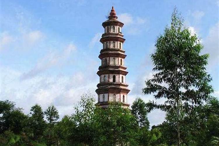 梦见死老鼠是什么意思