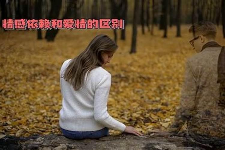 什邡哪些历史悠久的寺庙值得参观？