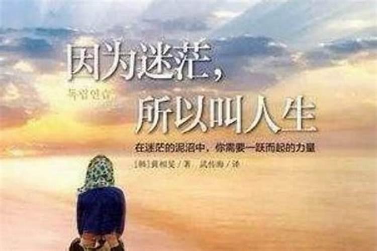 梦见小黄狗咬我但没出血的预兆