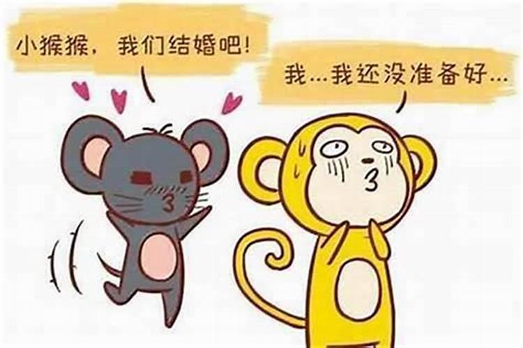 男属猴和女属猪相配吗