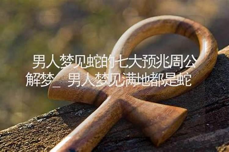 梦见好多蛇是什么预兆