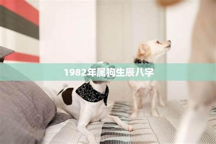 兔子生肖本命年可以结婚吗 兔年本命年能结婚吗