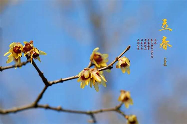 1982年属狗5月份出生的人是什么命运,性格好不好？