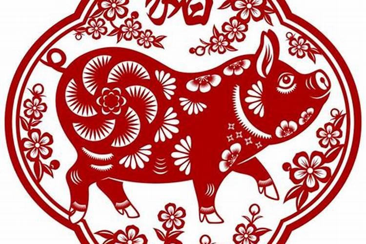 今年本命年,想知道运势如何？