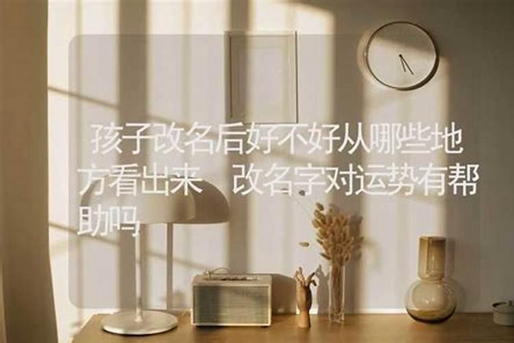 属鸡和属猪的婚姻如何