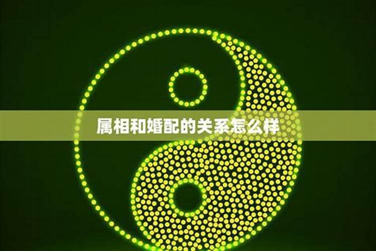 夫妻看八字几个字最好 匹配四柱分析婚配