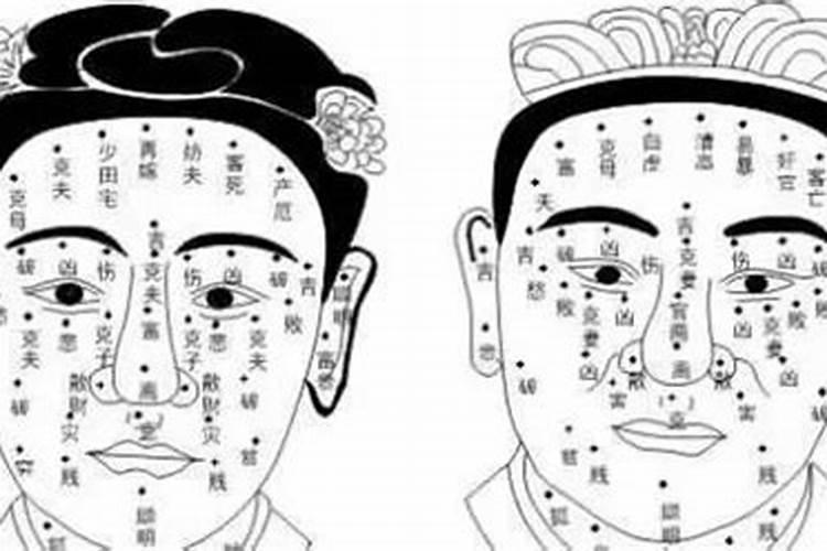 为什么属鼠和蛇不合 属蛇碰到鼠年好不好