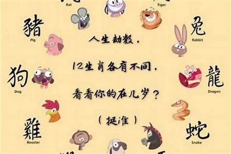 1992年属猴2025年运势