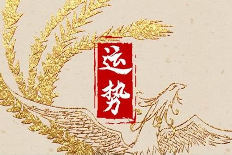 1982年女狗的2025命运