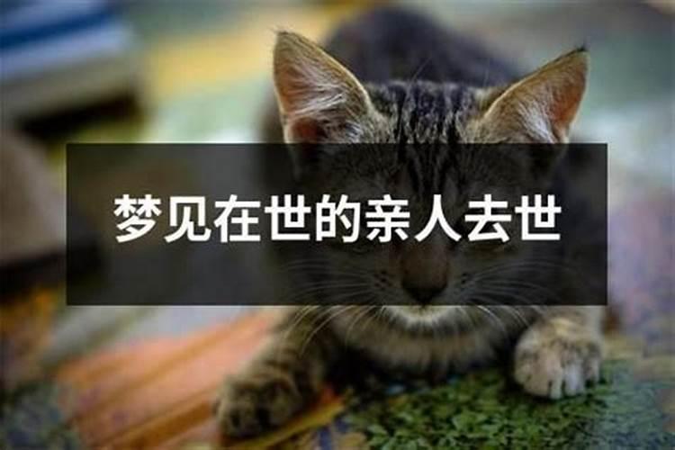 夫妻八字相克必须离婚,夫妻相克离婚能破解吗