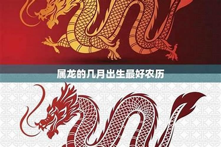 属蛇和属龙的合不合 属蛇人和属龙人相配吗？