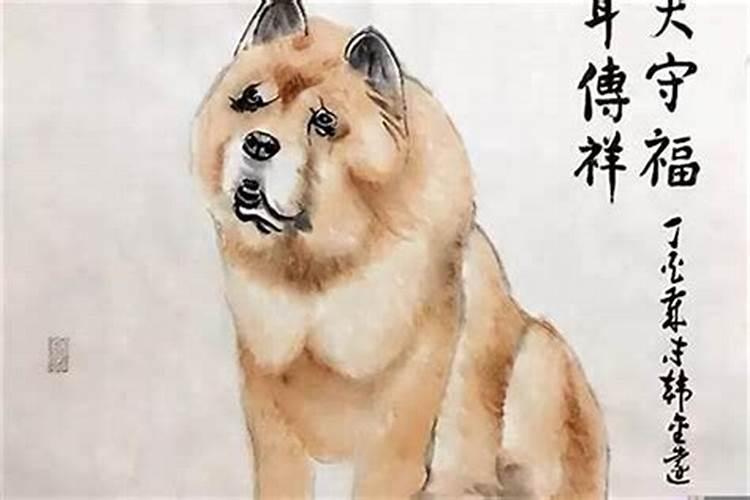 1982年属狗人九紫离火运期间运势怎样