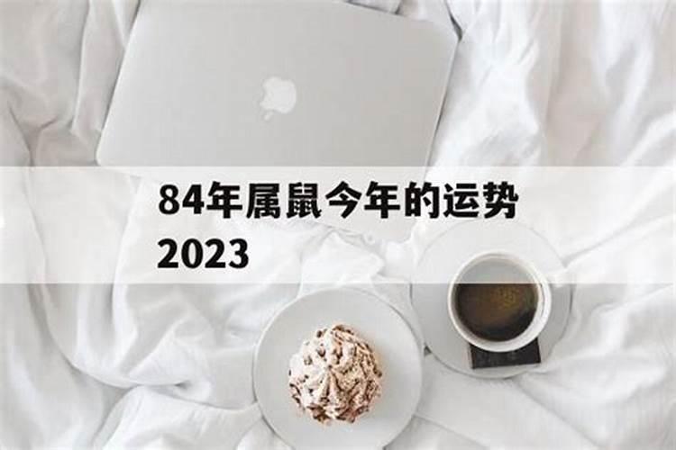 农历12月出生属羊人命好吗
