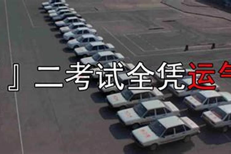 1982属狗最佳婚配