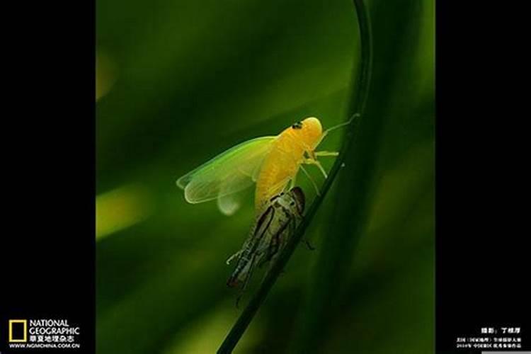 男人出轨最狠的挽回方式