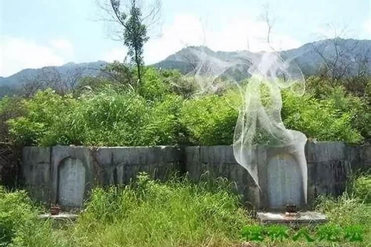 梦见老祖人坟上冒青烟的预兆