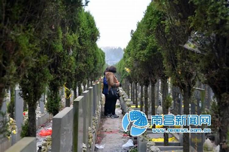 82年属狗的什么时候能转运