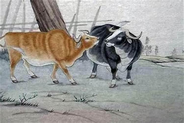 古代时辰计算