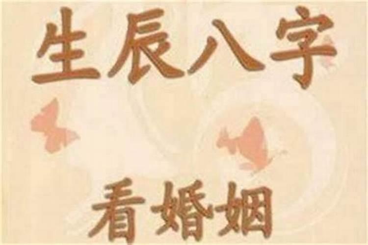 1976年属龙未来5年运势 感情可能会出现一些危机？