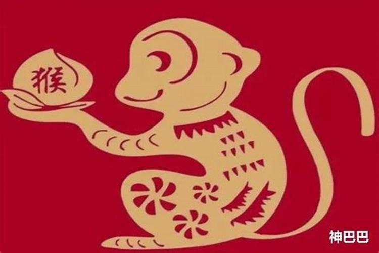 不同年份出生的属猴男女2024年运程