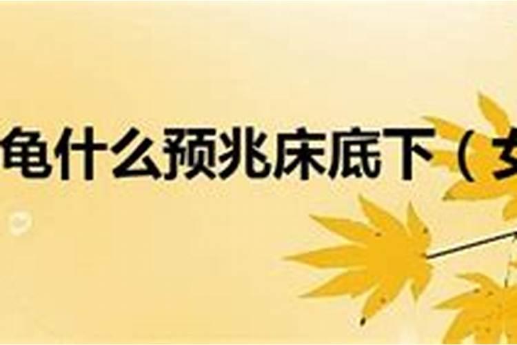 苗族的春节习俗
