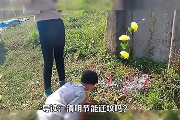广西靖西哪些乡镇有霜冻？