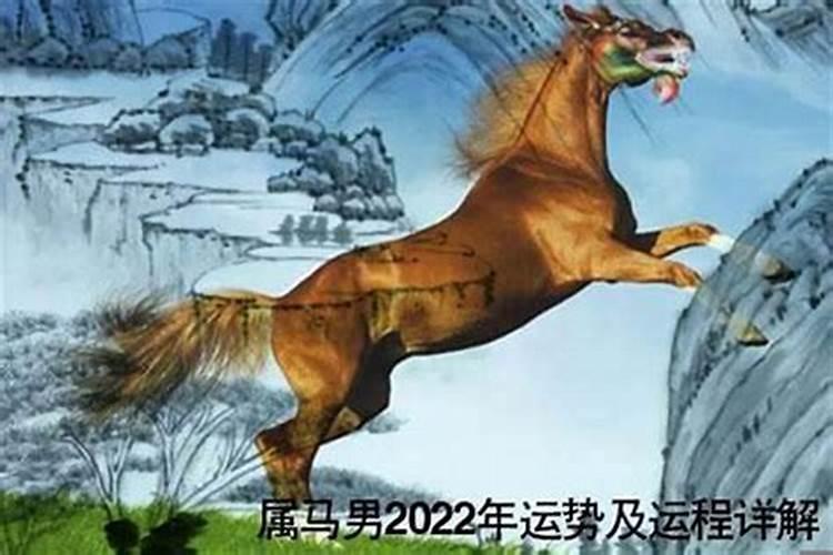 属牛的和哪个属相相克,属牛的男孩子和什么属相克