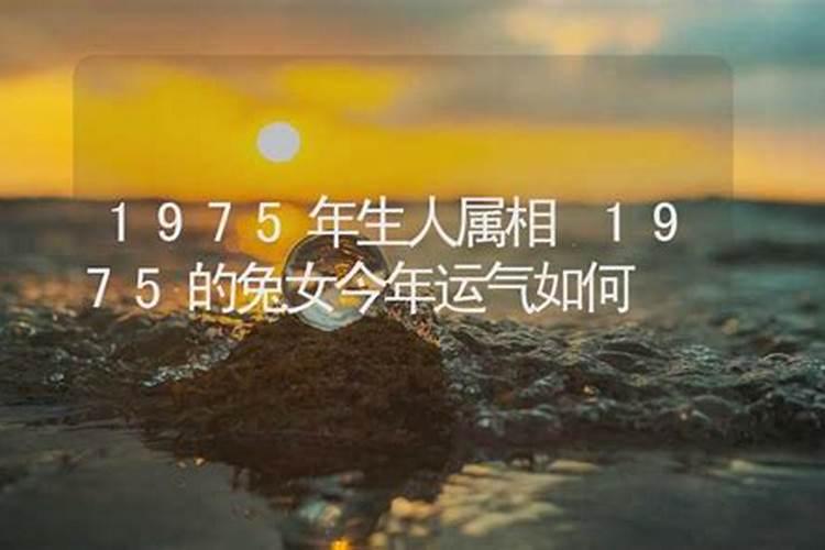 1975属兔人2025年全年运势及运程