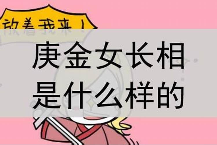 2005年属鸡的是什么命