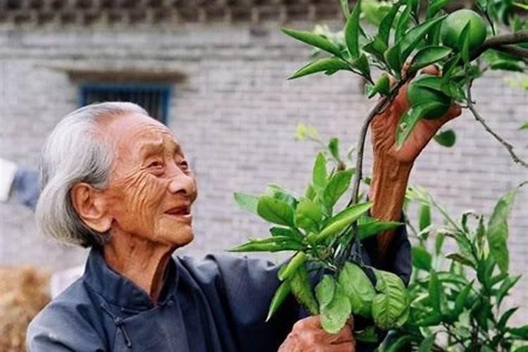 2024年冬至是几月 冬至气象变化
