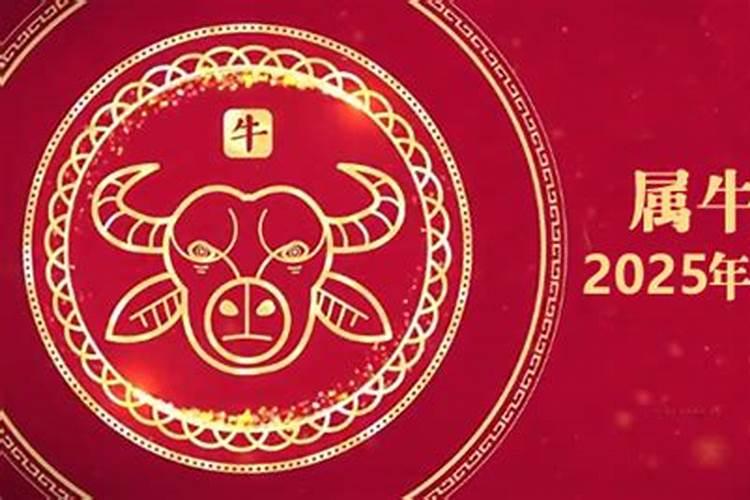 牛在2025年的每月运势如何呢