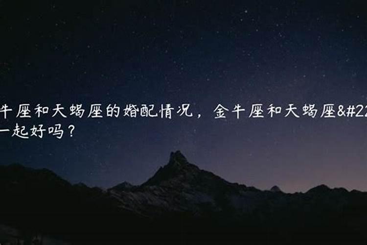 属猴男人和属狗女人相配吗