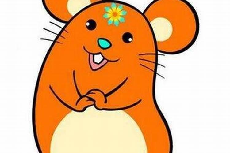 鼠年腊月哪一天出生更好,生辰八字五行查询