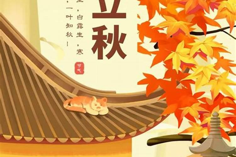 已婚女人梦见自己又结婚了是什么征兆