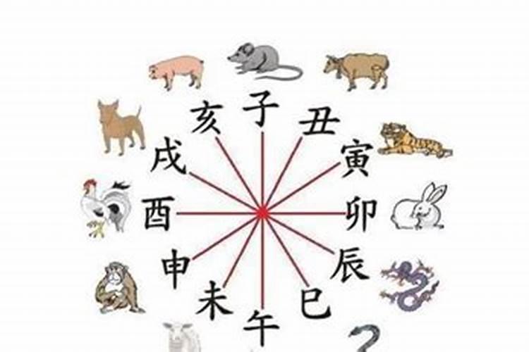 兔和鸡怎么化解相冲最有效