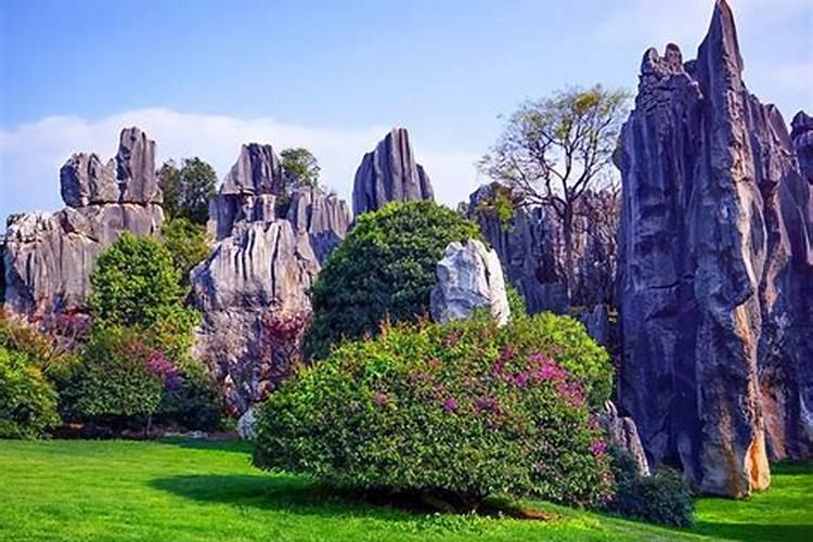 丽江拉市海好玩吗？去丽江拉市海的车票多少钱？