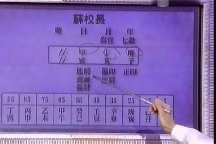 苏民峰个人资料